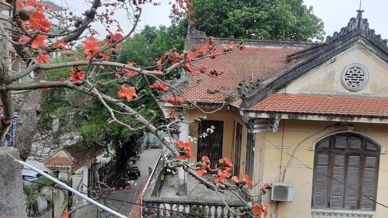 Tháng Ba - Mùa hoa gạo