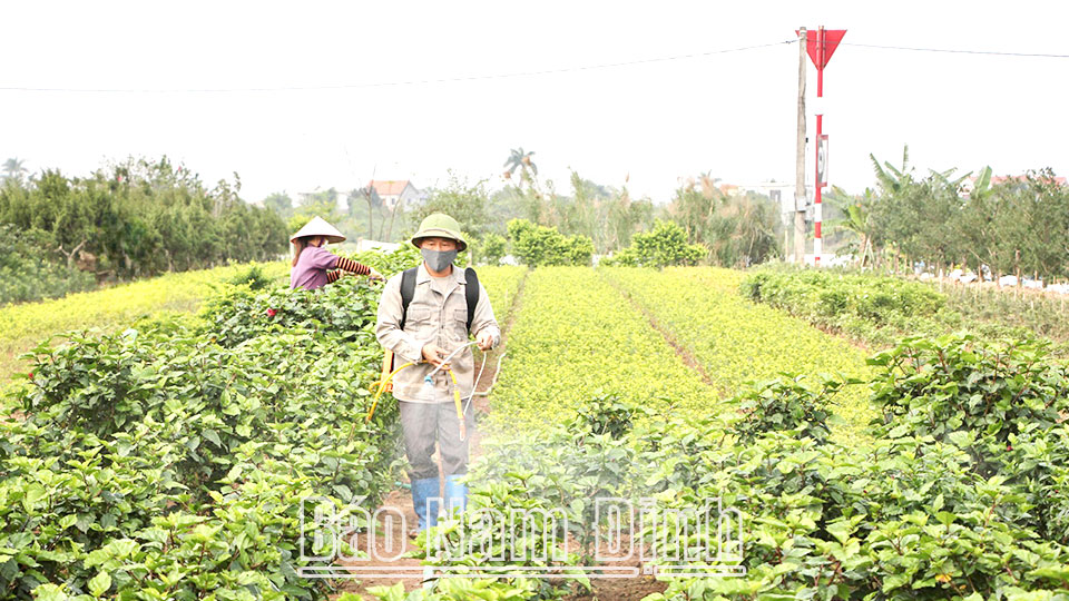 Tập trung khai thác hiệu quả quỹ đất chưa sử dụng