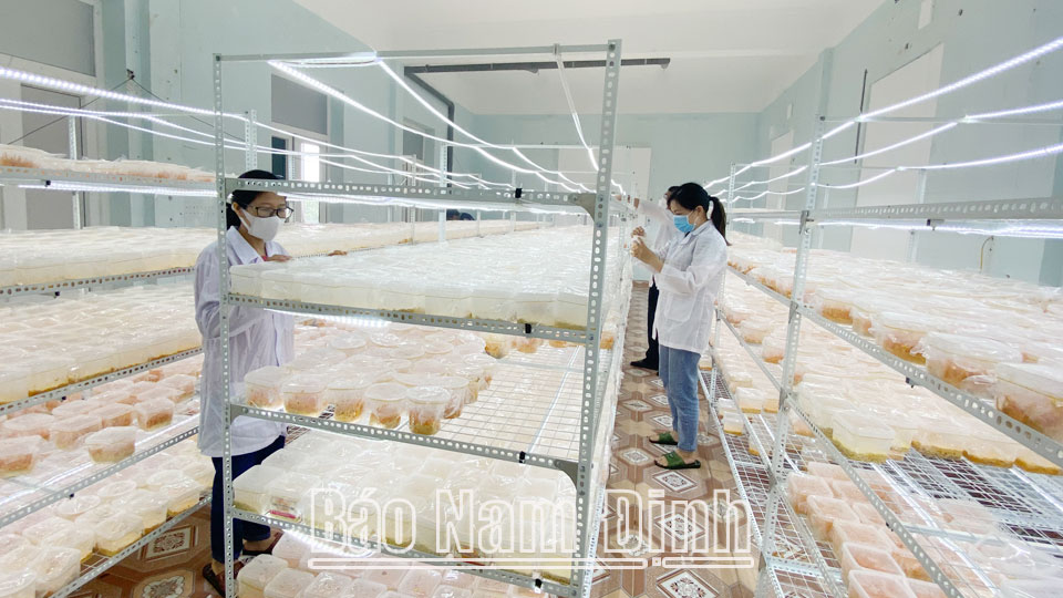 Phát triển nguồn lực thông tin khoa học và công nghệ phục vụ kinh tế - xã hội