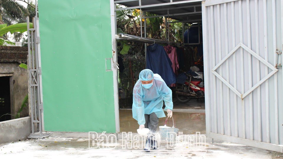 Chủ động tái đàn vật nuôi gắn với phòng, chống dịch bệnh