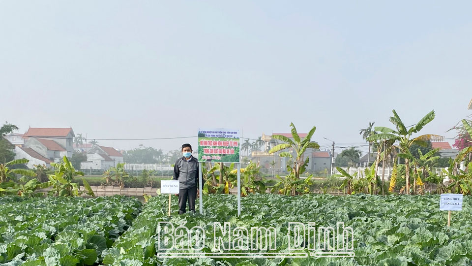 Quản lý, chăm sóc cây trồng vì sự phát triển nông nghiệp bền vững