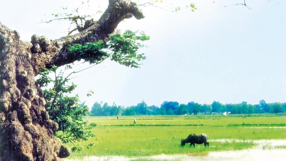 Người học trò năm xưa