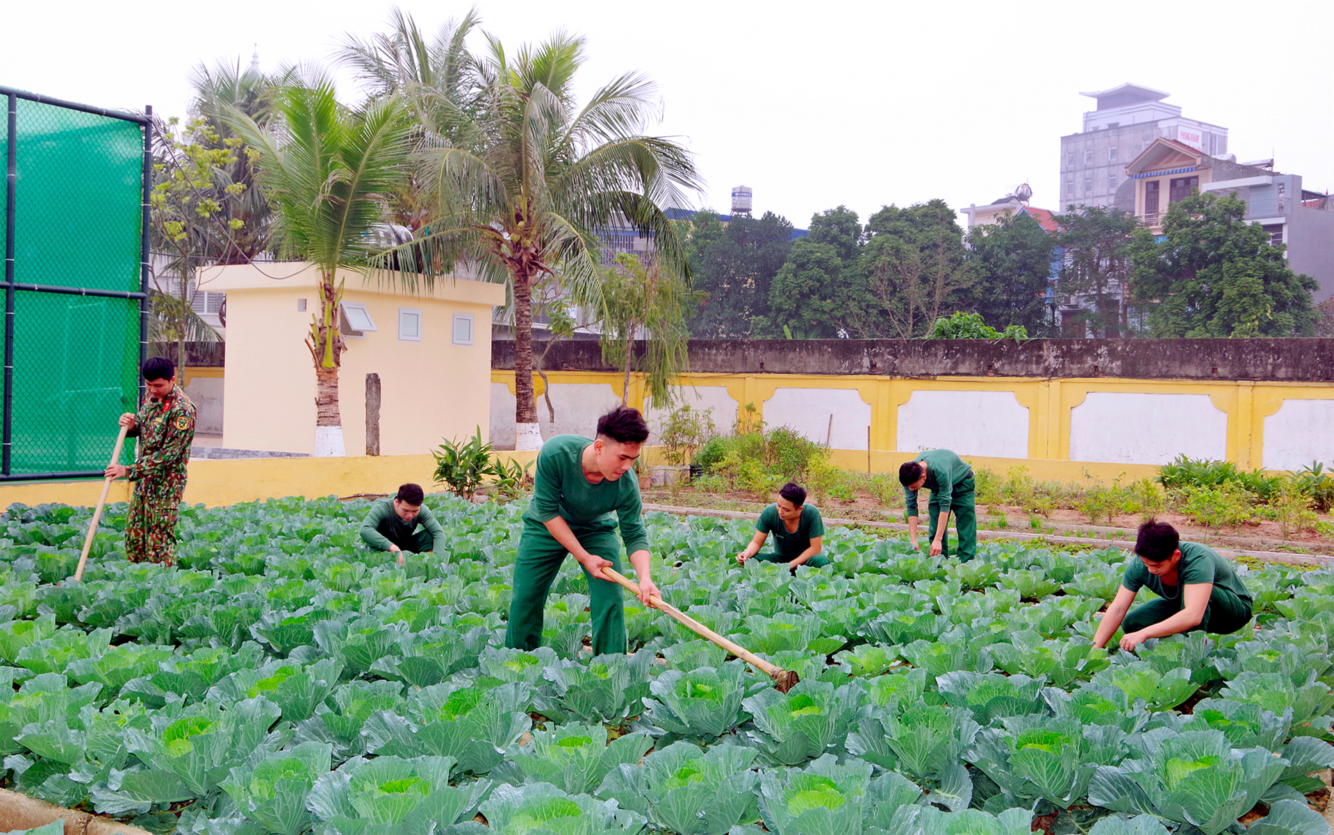 Những tấm gương bình dị mà cao quý năm 2024: Phòng Tham mưu (Bộ CHQS tỉnh) làm theo gương Bác, xứng danh “Bộ đội Cụ Hồ”