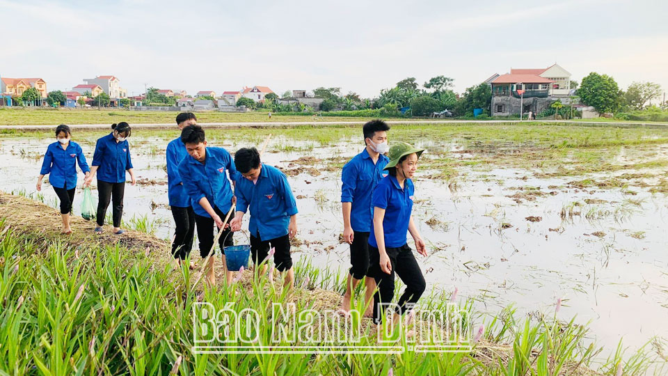 Tuổi trẻ Xuân Thành xung kích vì cuộc sống cộng đồng