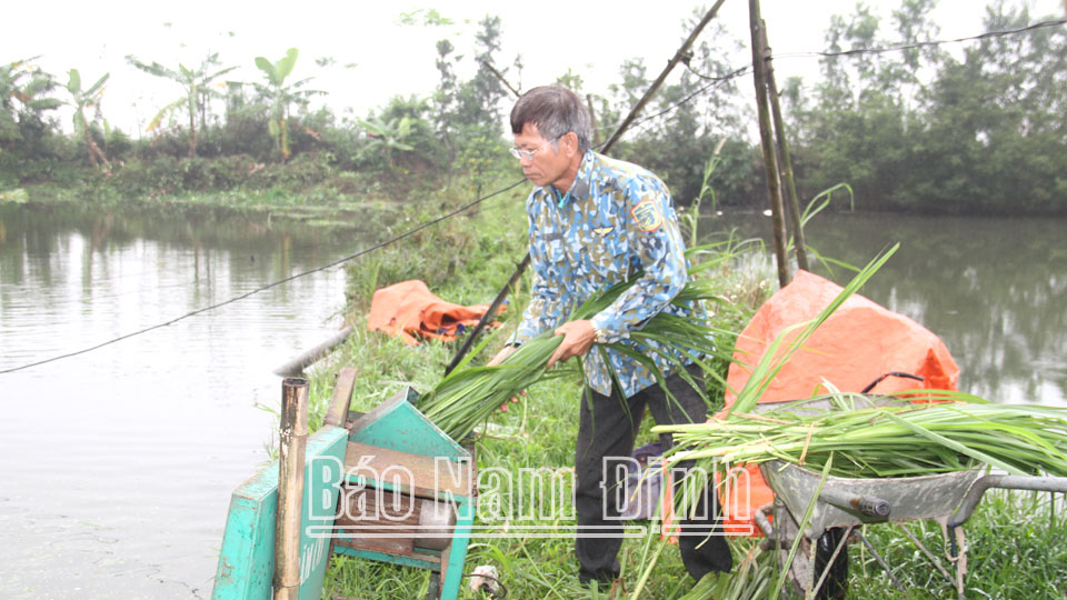 Những tấm gương bình dị mà cao quý năm 2024: Dám nghĩ, dám làm: Bí quyết làm giàu của lão nông tuổi ngoại lục tuần