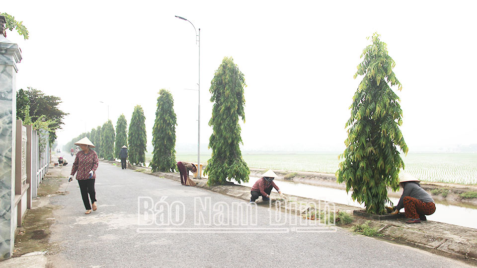 Hội viên nông dân chung sức xây dựng nông thôn mới, đô thị văn minh