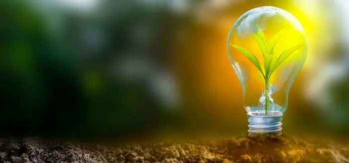 Nam Định muốn chuyển dự án nhà máy nhiệt điện than hơn 2 tỷ USD sang điện khí