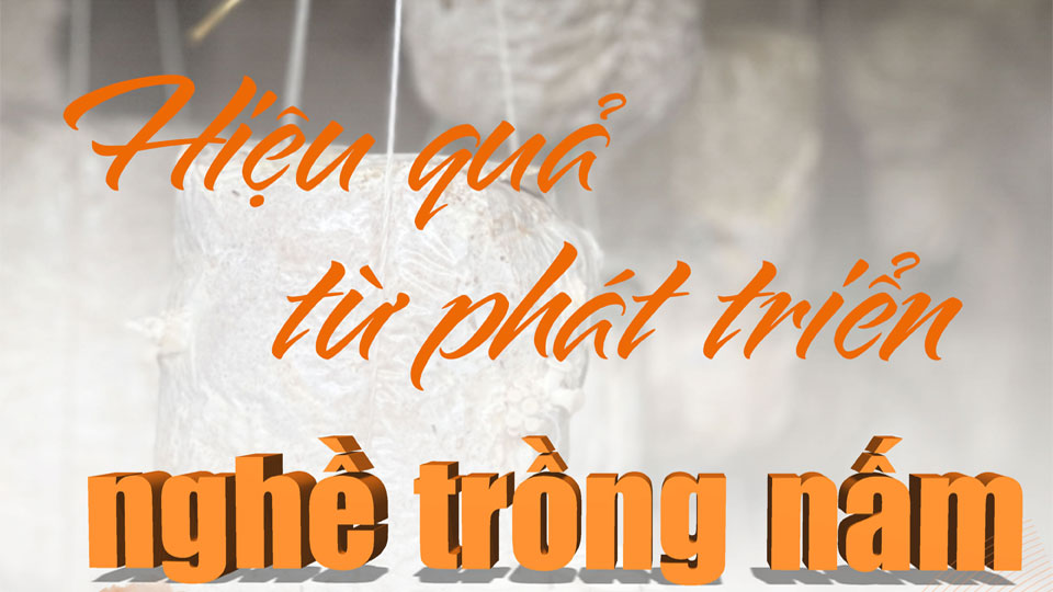 Hiệu quả từ phát triển nghề trồng nấm