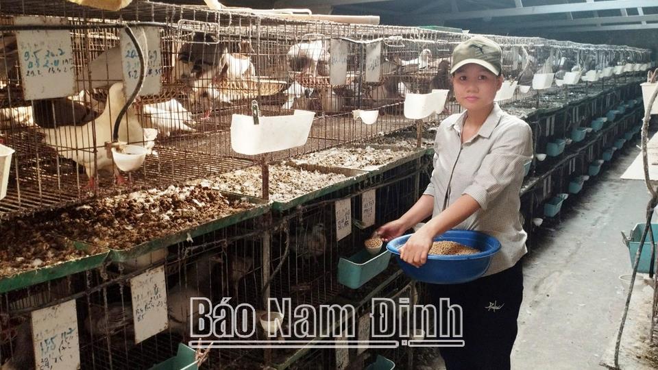 Năng động phát triển kinh tế