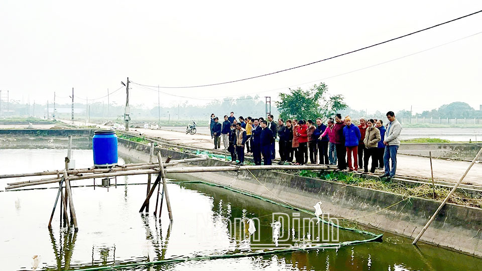 Giải pháp phát triểnnuôi thủy sản nước ngọt bền vững