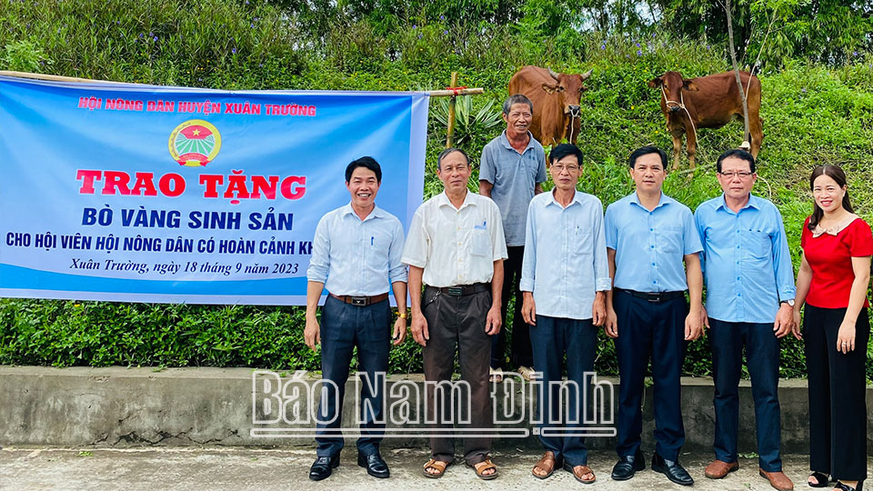 Góp phần đảm bảo an sinh xã hội