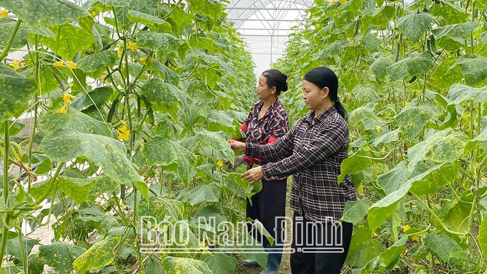 Hỗ trợ doanh nghiệp nâng cao năng suất, chất lượng sản phẩm, hàng hóa