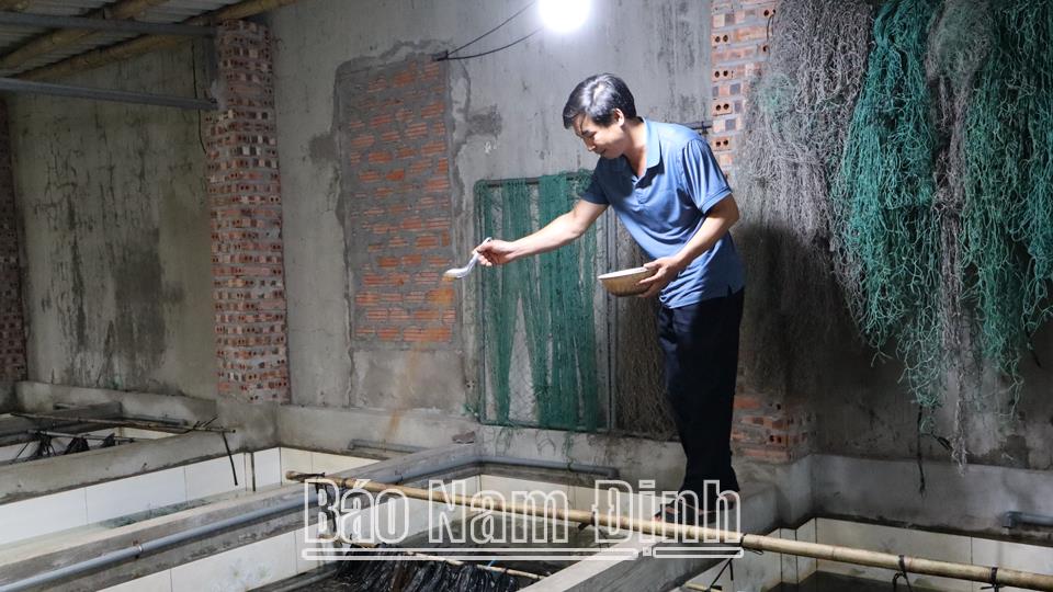 Nông dân Hải Hậuphát huy hiệu quả nguồn vốn vay