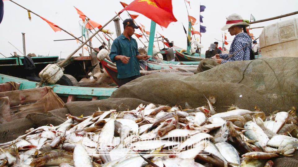 Sản lượng nuôi trồng, khai thác thuỷ sản ước đạt gần 41 nghìn tấn