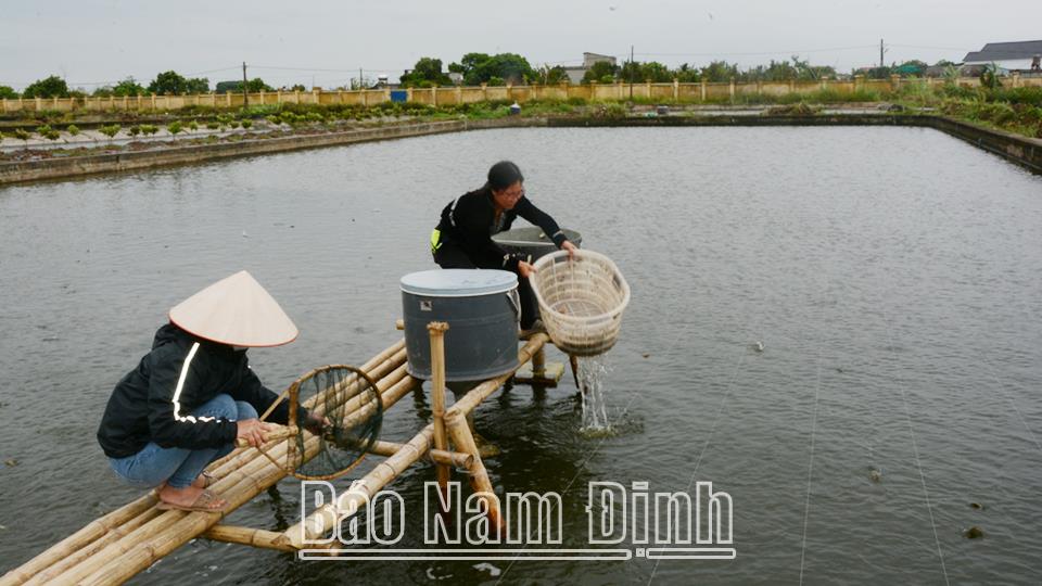 Chuẩn bị tốt các điều kiệncho vụ nuôi thủy sản xuân hè
