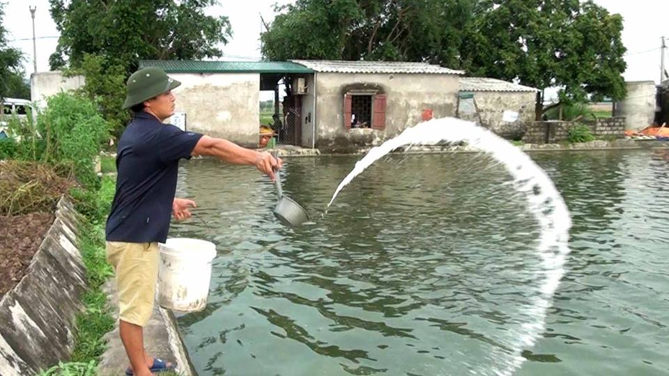 Phòng bệnh cho cá trong thời điểm giao mùa