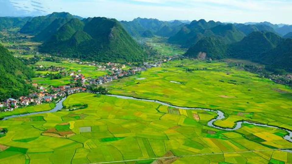 Cả nước còn gần 1,2 triệu ha đấtchưa sử dụng