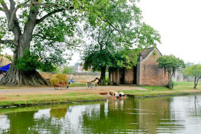 Bình yên quê nhà