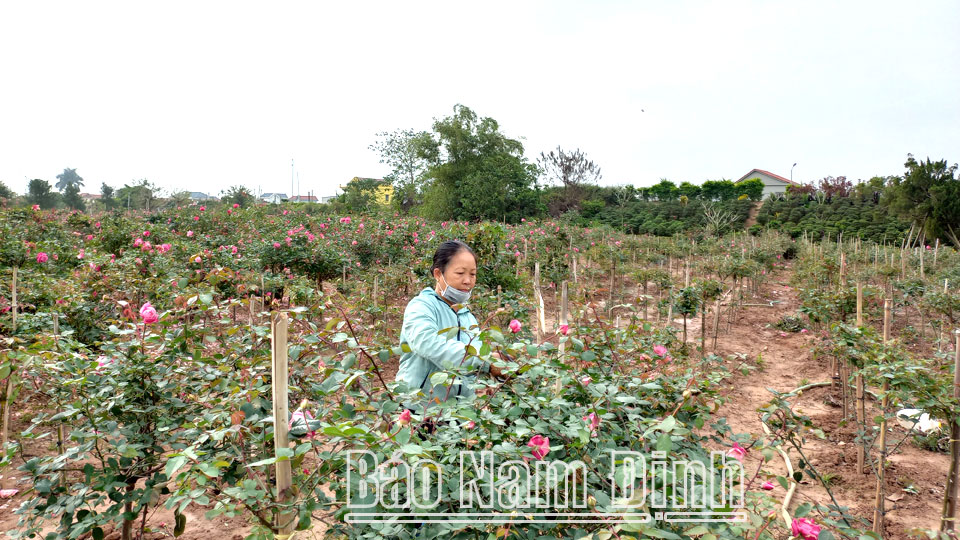 Hội Nông dân xã Điền Xá hỗ trợ hội viên phát triển kinh tế