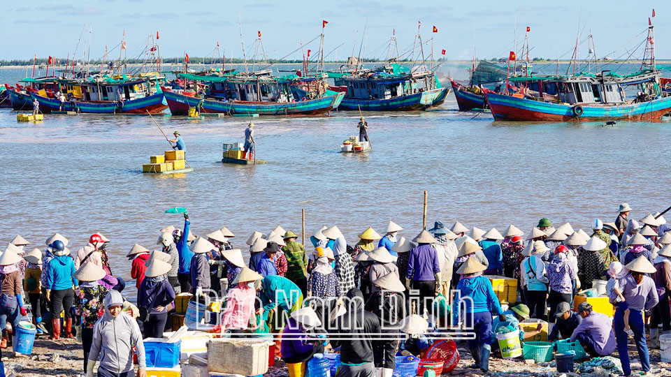 Quyết tâm xây dựng nghề cá phát triển bền vững