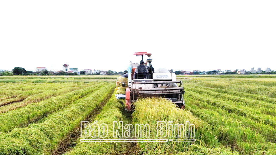 Xuân Kiên ứng dụng cơ giới hóa đồng bộ trong sản xuất nông nghiệp