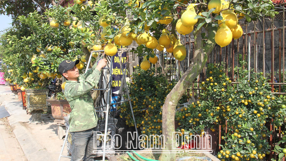 Sôi nổi phong trào thi đua "Dân vận khéo" ở Nam Trực