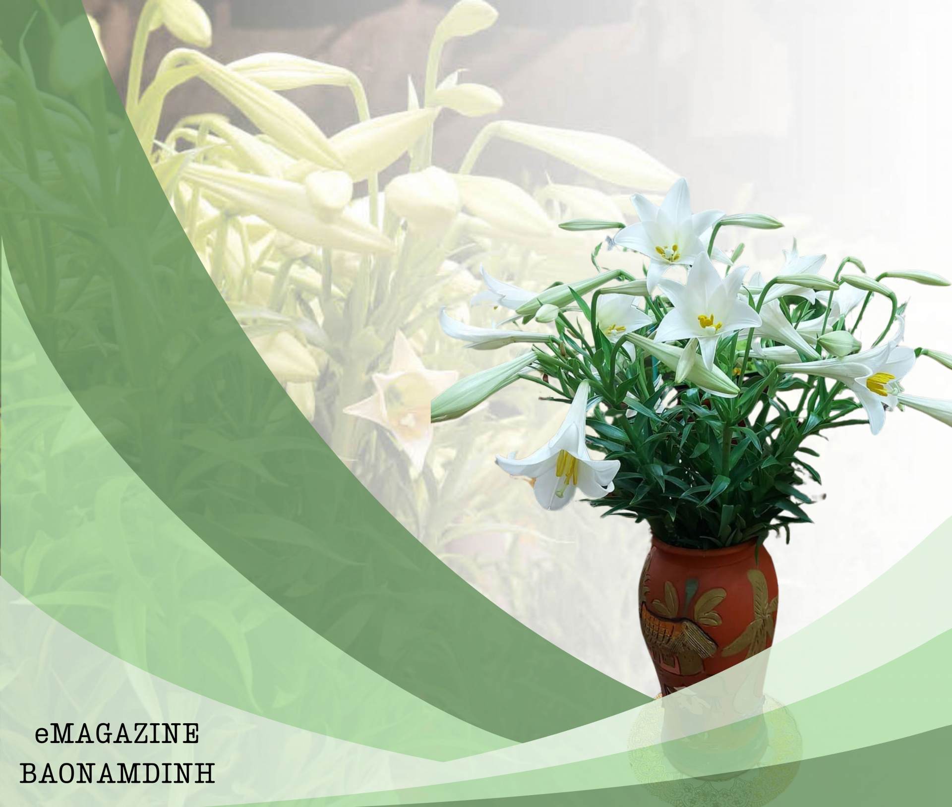 Tinh khôi mùa loa kèn tháng Tư