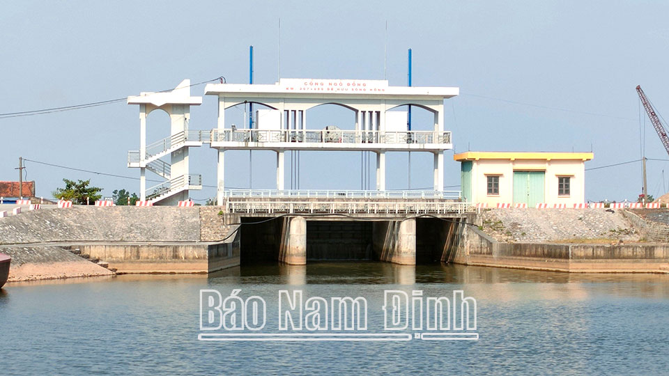 Tăng cường xử lý vi phạm công trình thuỷ lợi trên địa bàn tỉnh