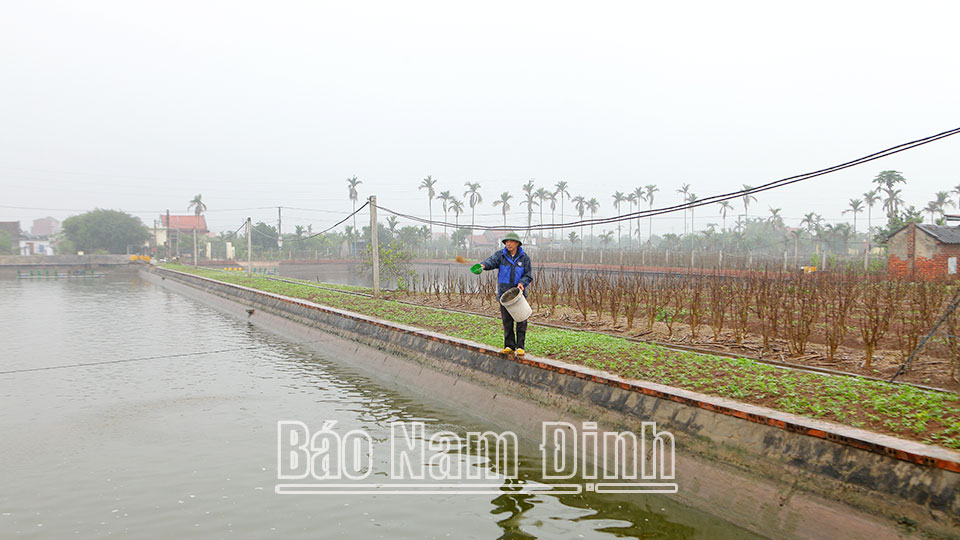 Hải Châu chú trọng phát triển kinh tế,tạo nền tảng vững chắc xây dựng nông thôn mới kiểu mẫu