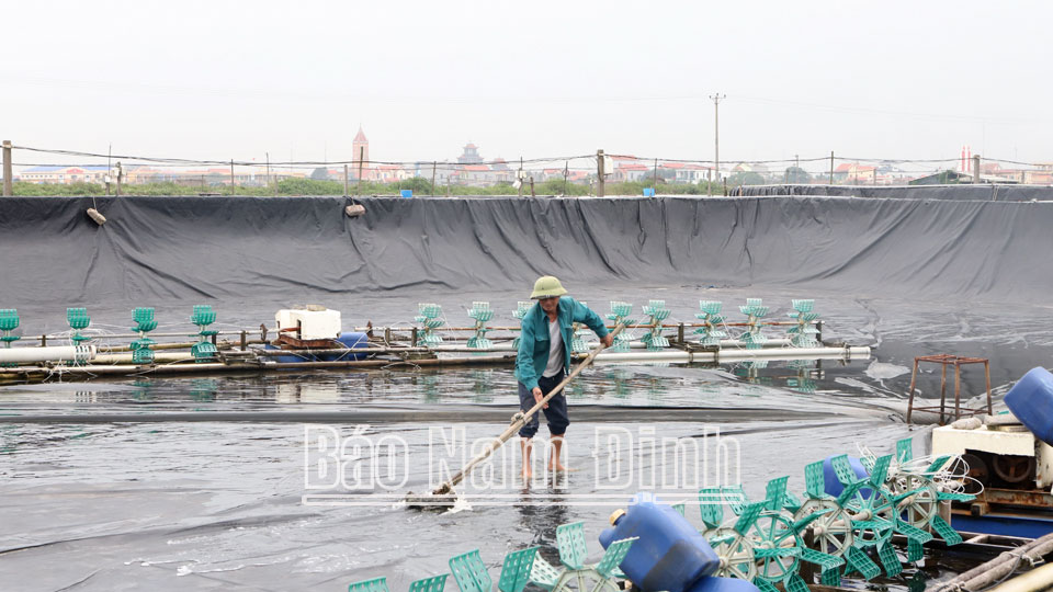 Hải Chính chuẩn bị các điều kiệncho vụ nuôi thủy sản mới