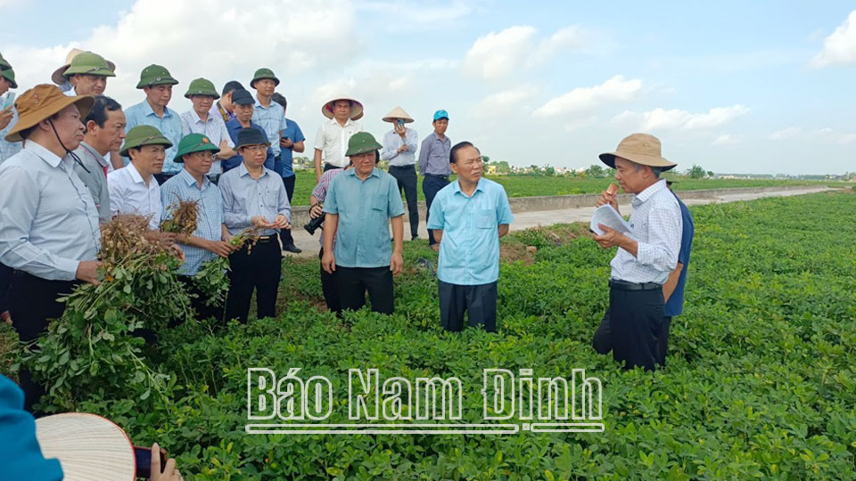 Hội Nông dân Yên Cường tích cực tham giaxây dựng nông thôn mới nâng cao, kiểu mẫu