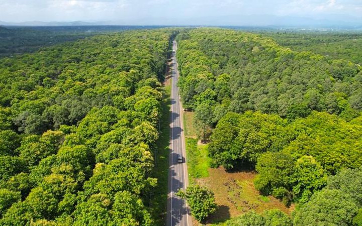 Chủ động triển khai công tác phòng cháy, chữa cháy rừng