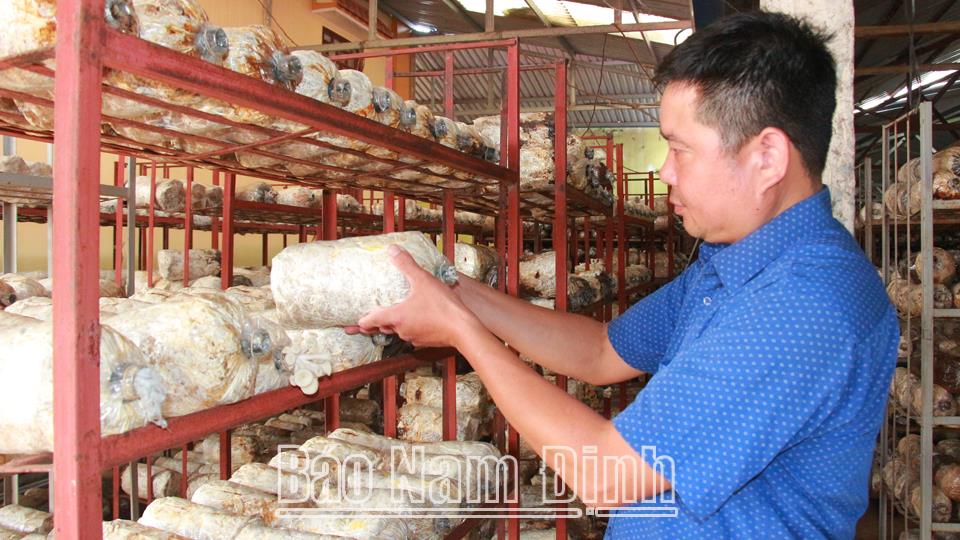 Đổi mới và nâng cao hiệu quảkinh tế tập thể