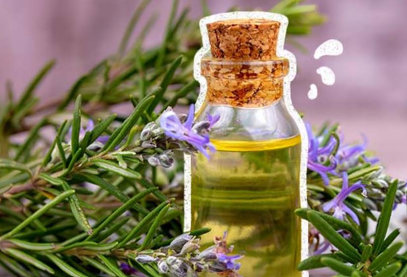 6 thành phần tốt nhất chăm sóc tóc và da đầu khỏe mạnh