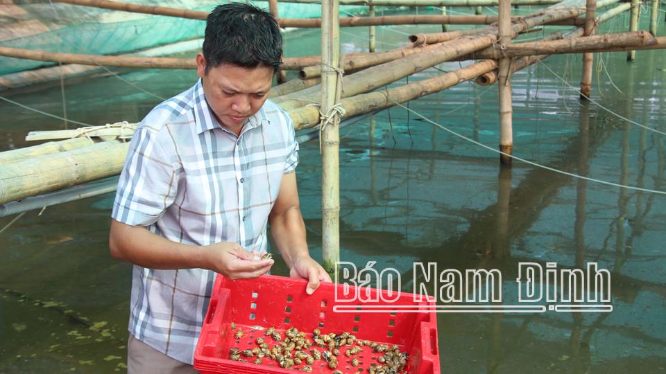 Đẩy mạnh liên kết hợp tác xã - doanh nghiệp - nông dân