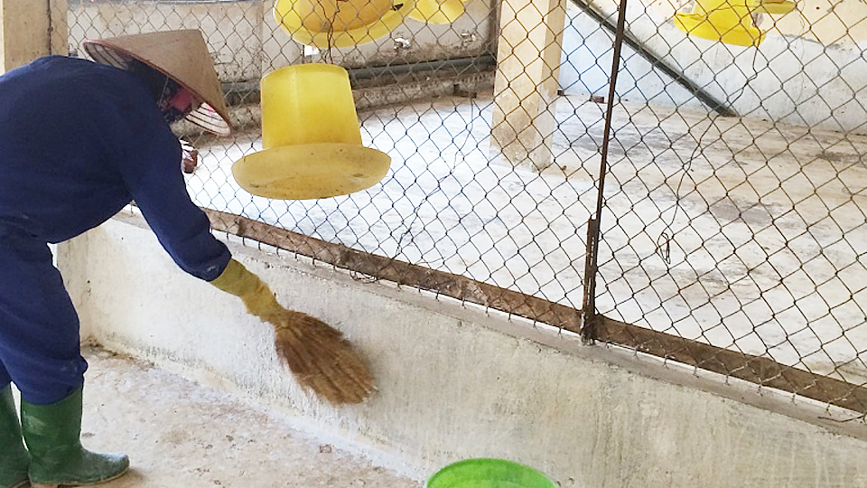 Phòng và giám sát dịch bệnh động vật