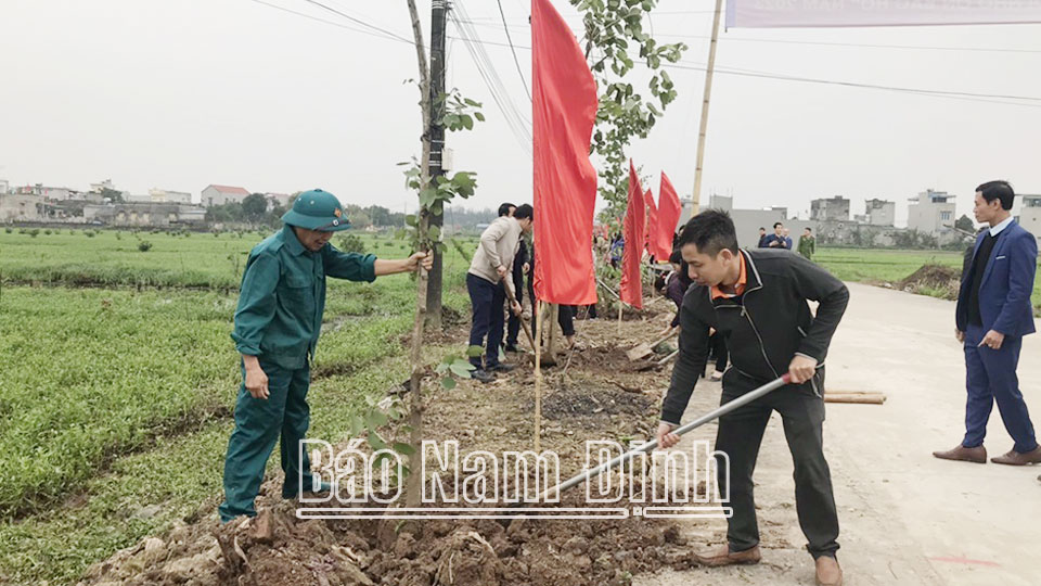Nhân rộng phong trào trồng cây xanh