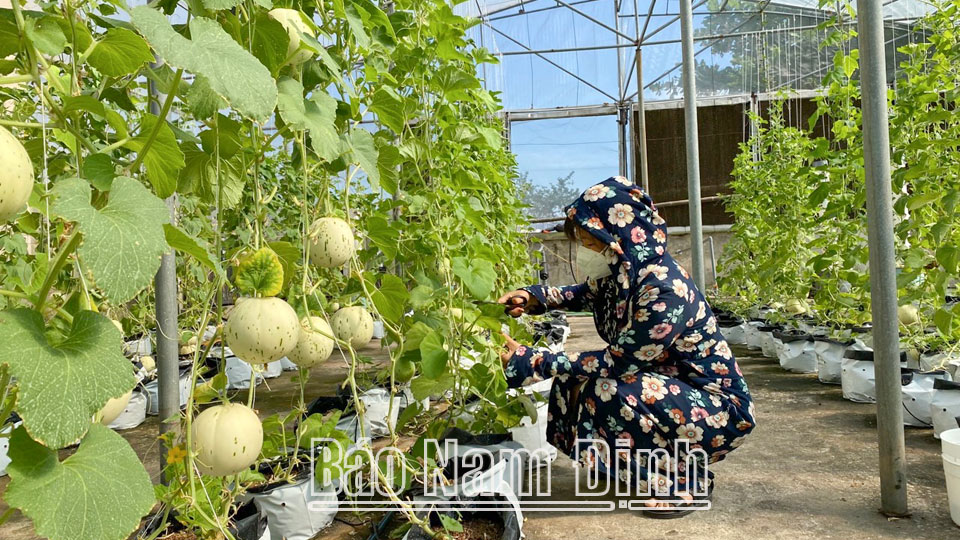 Quan tâm phát triển hạ tầng kỹ thuật phục vụ ứng dụng khoa học và công nghệ