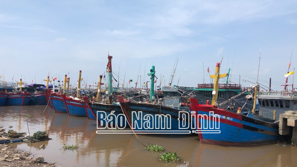 Nâng cao hiệu quả hoạt động của các cảng cá, khu neo đậu tàu, thuyền phục vụ phòng, chống thiên tai