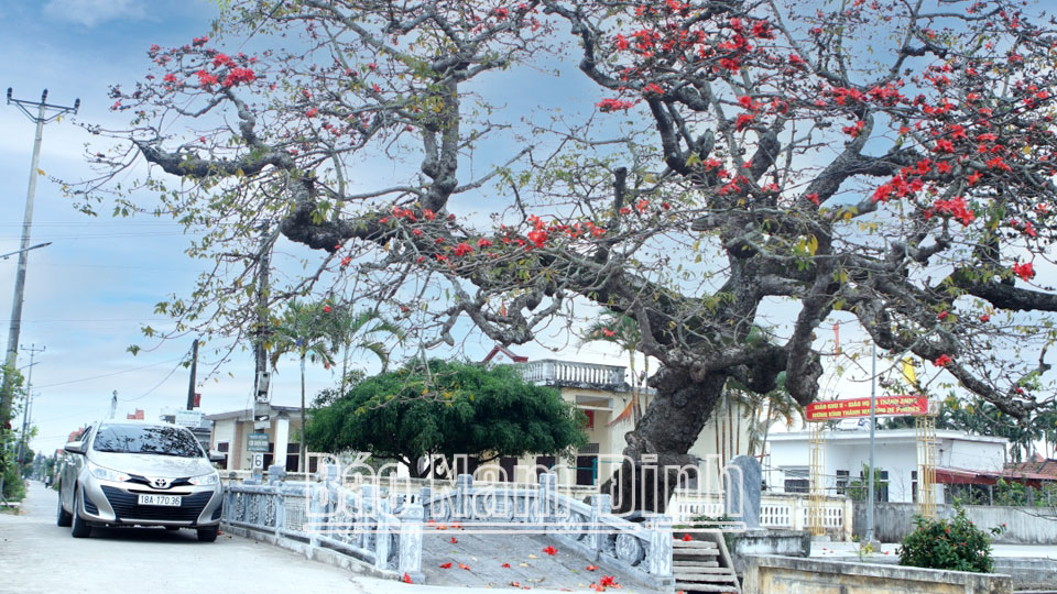 Hải Hậu nâng cao chất lượng phong trào thi đua yêu nước