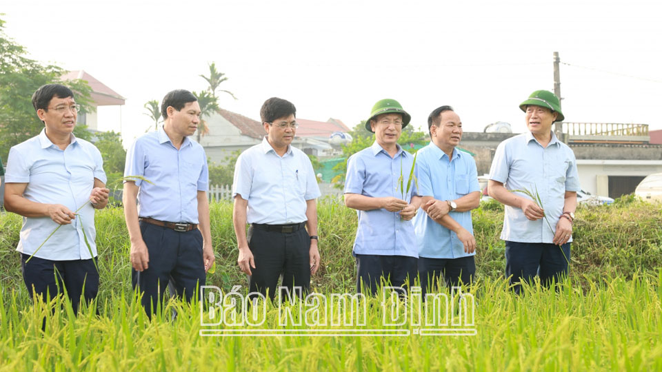 Đồng chí Chủ tịch UBND tỉnh kiểm tra các công trình đê điều, công tác phòng, chống thiên tai và sản xuất vụ xuân