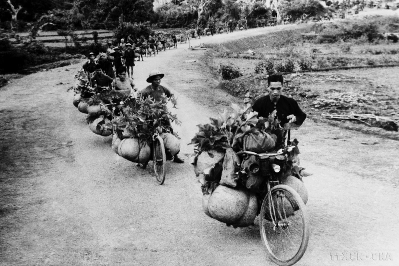 Sức mạnh hậu cầntrong Chiến dịch Điện Biên Phủ