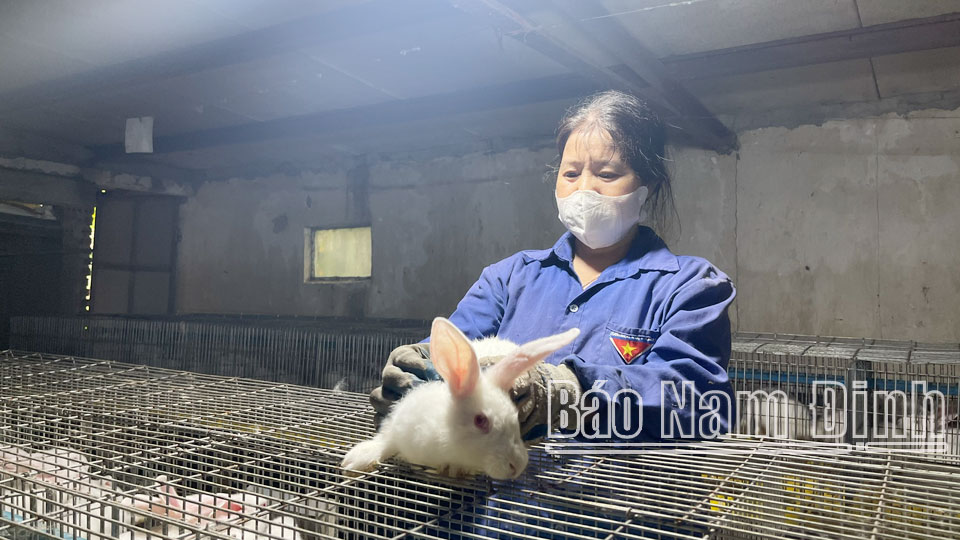 Cựu chiến binh Vụ Bảnhỗ trợ hội viên phát triển kinh tế