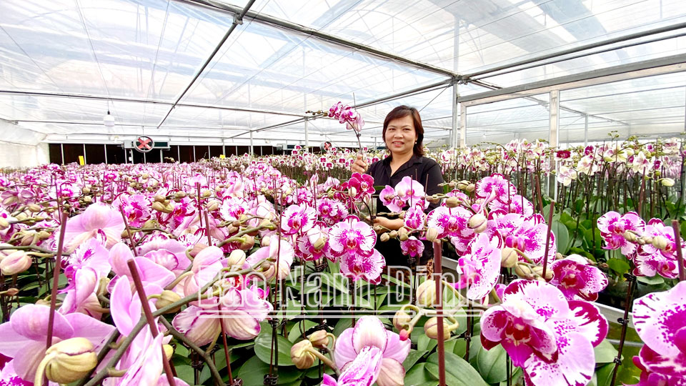 Khoa học và công nghệ đồng hànhcùng sự phát triển của doanh nghiệp