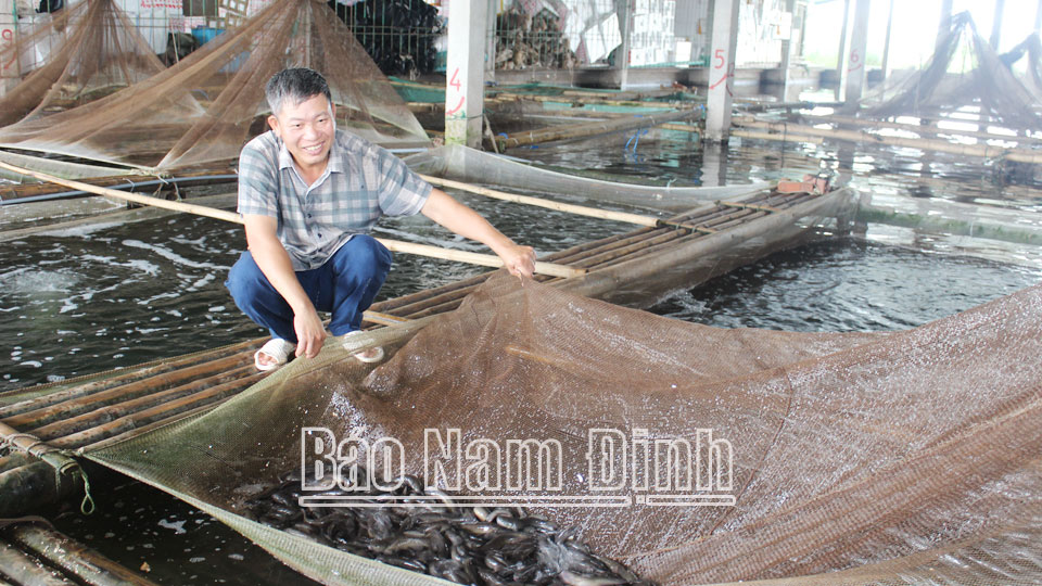 Nuôi thủy sản xuân hèvào vụ mới