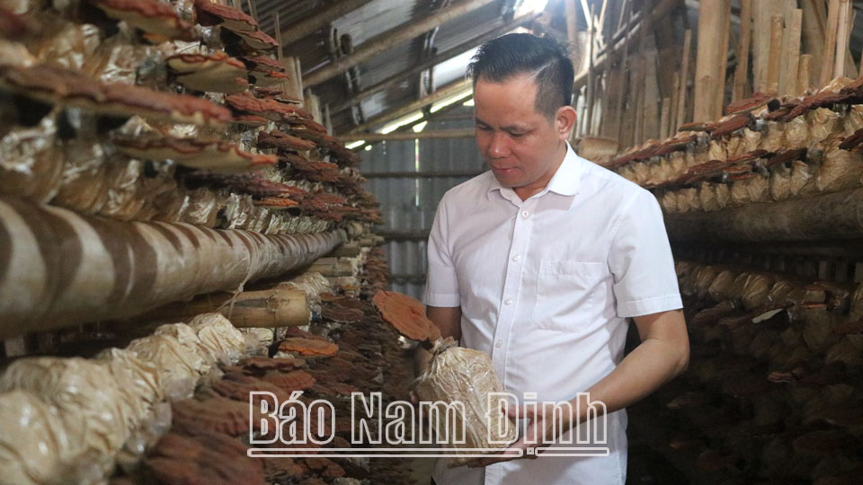 Hội Nông dân Hải Hậu nhân rộng các mô hình làm kinh tế giỏi