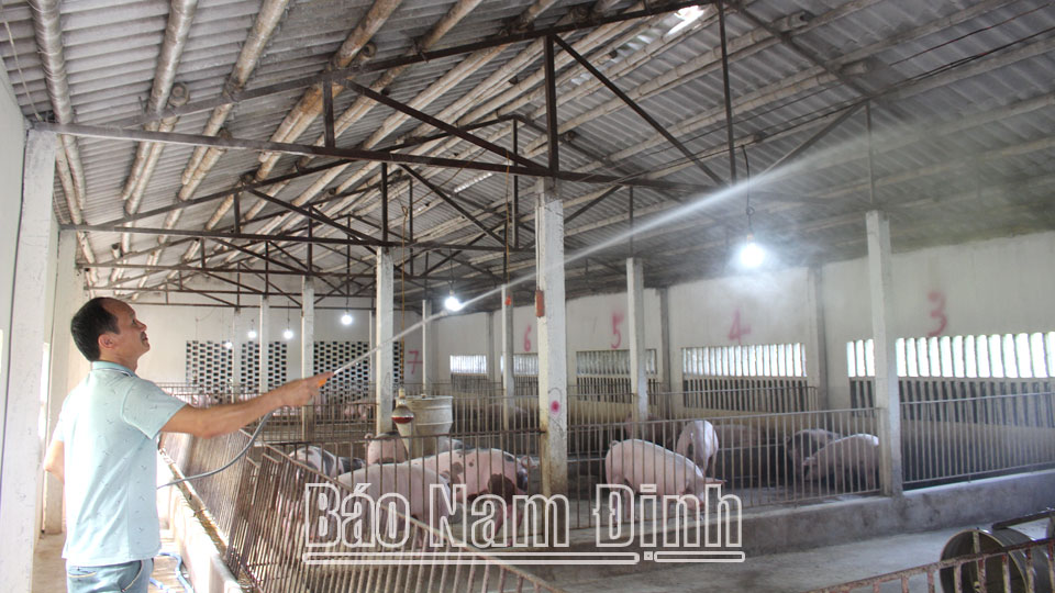 Sản xuất nông sản an toànđể phát triển nông nghiệp bền vững