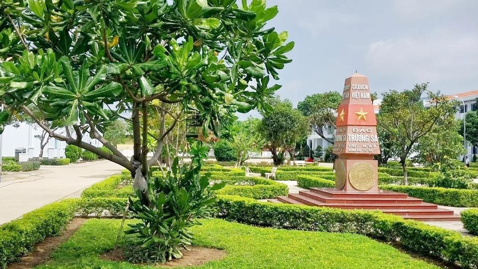 Cây bàng vuôngTrường Sa