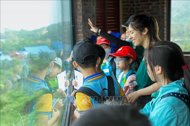 Ninh Bình: Phát triển du lịch gắn với bảo tồn gấu