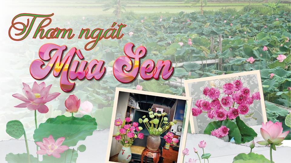 Thơm ngát mùa sen